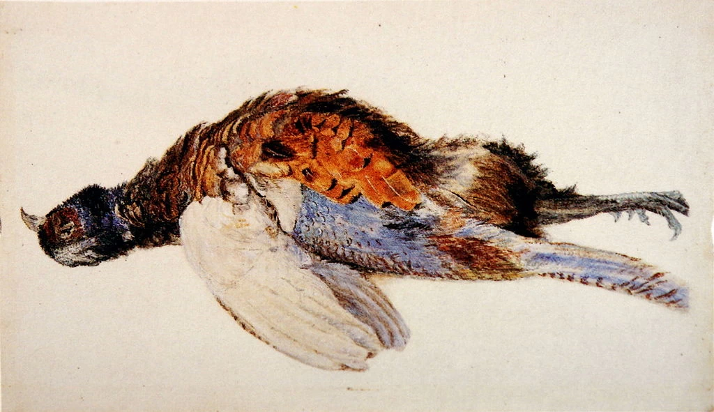Fagiano morto, 1867
